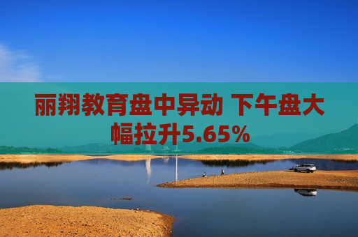 丽翔教育盘中异动 下午盘大幅拉升5.65%