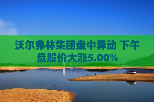 沃尔弗林集团盘中异动 下午盘股价大涨5.00%  第1张