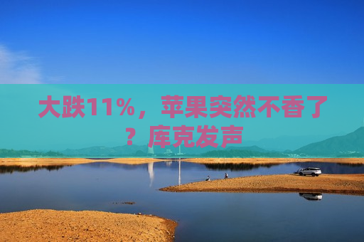 大跌11%，苹果突然不香了？库克发声