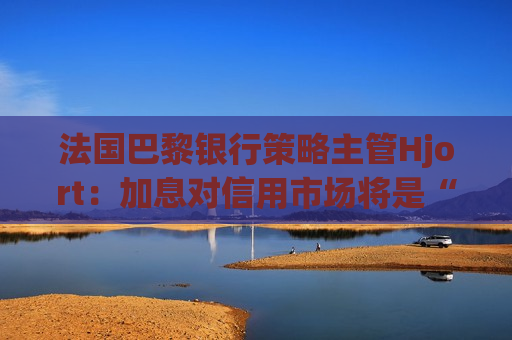 法国巴黎银行策略主管Hjort：加息对信用市场将是“利空事件”