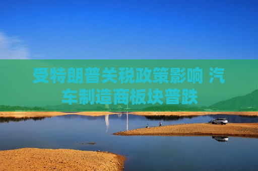受特朗普关税政策影响 汽车制造商板块普跌