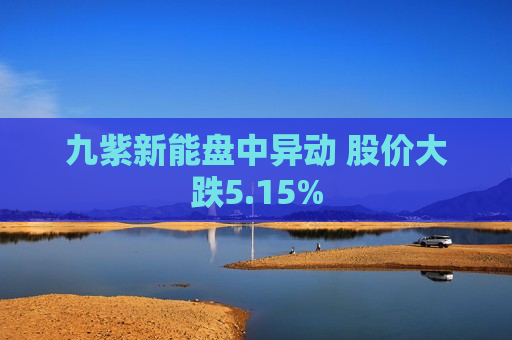 九紫新能盘中异动 股价大跌5.15%