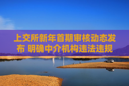 上交所新年首期审核动态发布 明确中介机构违法违规三大核查要求