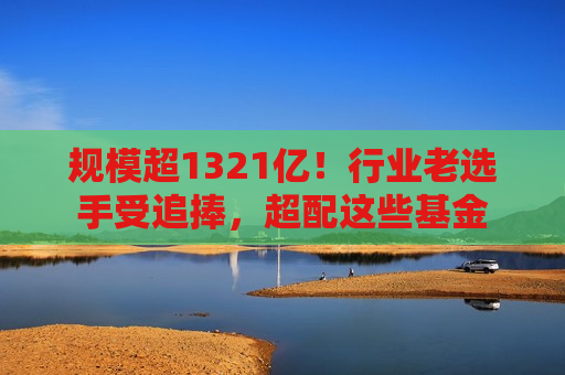 规模超1321亿！行业老选手受追捧，超配这些基金