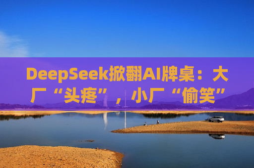 DeepSeek掀翻AI牌桌：大厂“头疼”，小厂“偷笑”