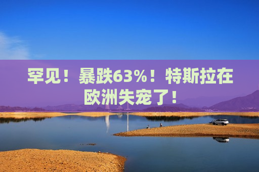 罕见！暴跌63%！特斯拉在欧洲失宠了！  第1张