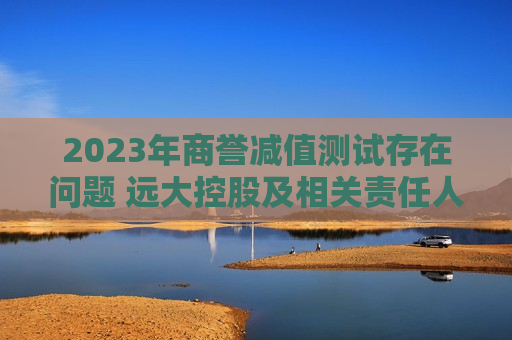 2023年商誉减值测试存在问题 远大控股及相关责任人收警示函