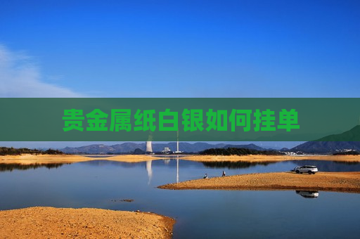 贵金属纸白银如何挂单  第1张