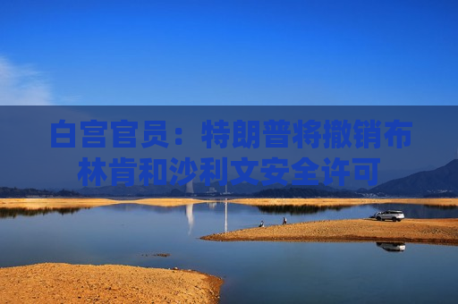 白宫官员：特朗普将撤销布林肯和沙利文安全许可