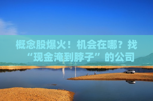概念股爆火！机会在哪？找“现金淹到脖子”的公司  第1张