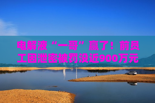 电解液“一哥”赢了！前员工因泄密被罚没近900万元