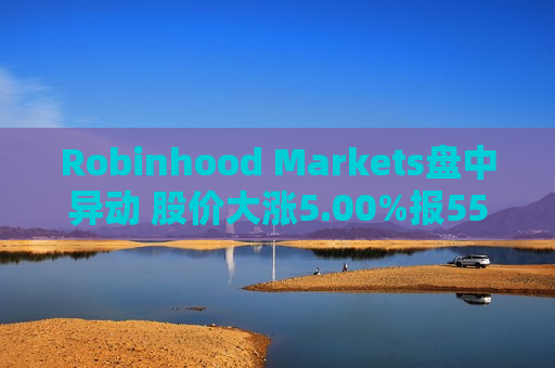 Robinhood Markets盘中异动 股价大涨5.00%报55.83美元