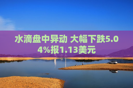 水滴盘中异动 大幅下跌5.04%报1.13美元