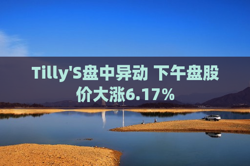 Tilly'S盘中异动 下午盘股价大涨6.17%