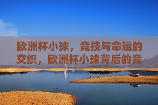 欧洲杯小球，竞技与命运的交织，欧洲杯小球背后的竞技与命运之战，欧洲杯小球背后的竞技与命运之战