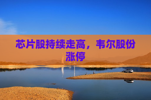 芯片股持续走高，韦尔股份涨停