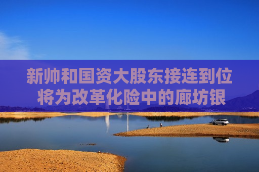 新帅和国资大股东接连到位 将为改革化险中的廊坊银行带来什么？