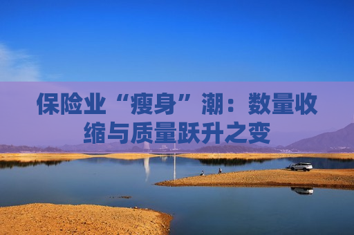 保险业“瘦身”潮：数量收缩与质量跃升之变