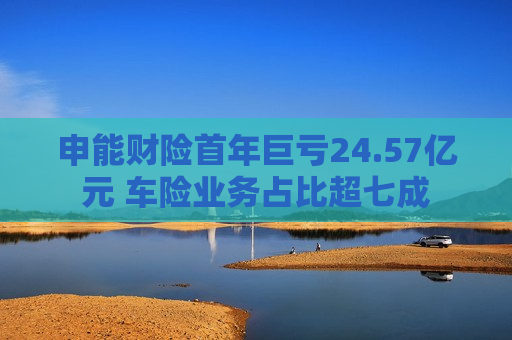 申能财险首年巨亏24.57亿元 车险业务占比超七成