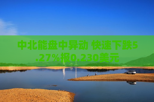 中北能盘中异动 快速下跌5.27%报0.230美元