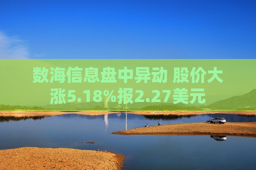 数海信息盘中异动 股价大涨5.18%报2.27美元