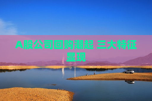 A股公司回购潮起 三大特征显现