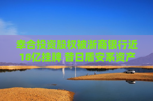 幸合投资股权被浙商银行近18亿挂牌 昔日盾安系资产将花落谁家？  第1张