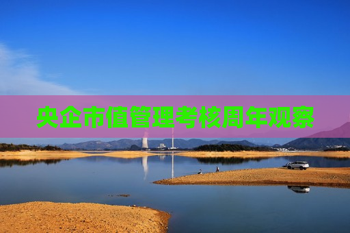 央企市值管理考核周年观察
