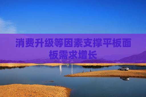 消费升级等因素支撑平板面板需求增长