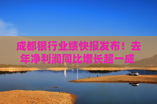 成都银行业绩快报发布！去年净利润同比增长超一成 不良贷款率0.66%