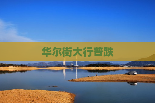 华尔街大行普跌
