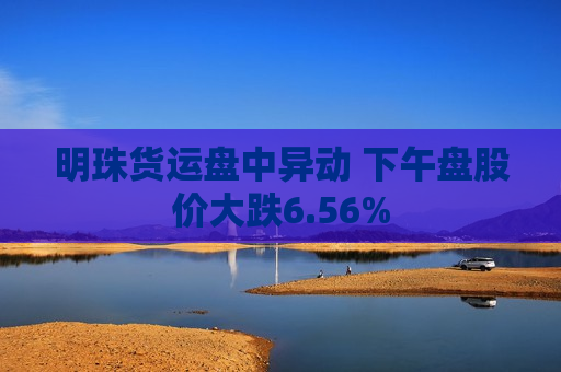 明珠货运盘中异动 下午盘股价大跌6.56%