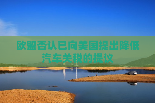 欧盟否认已向美国提出降低汽车关税的提议