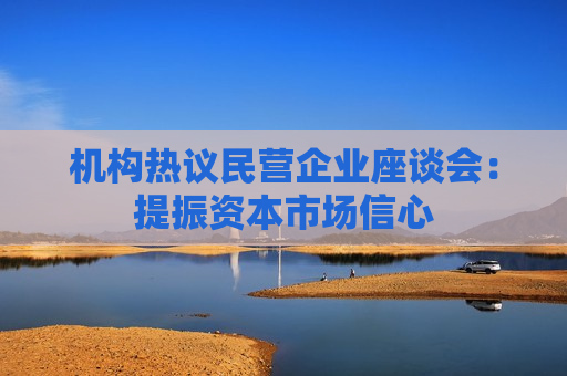 机构热议民营企业座谈会：提振资本市场信心
