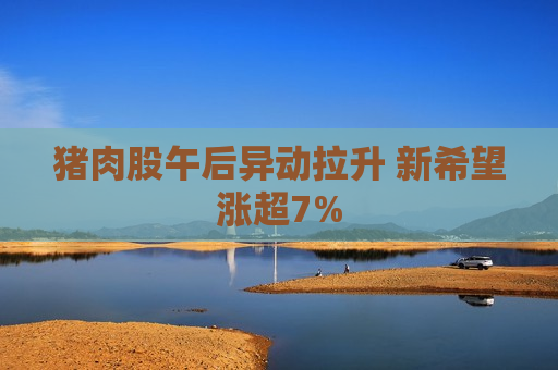 猪肉股午后异动拉升 新希望涨超7%