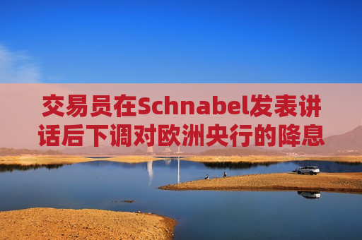 交易员在Schnabel发表讲话后下调对欧洲央行的降息押注