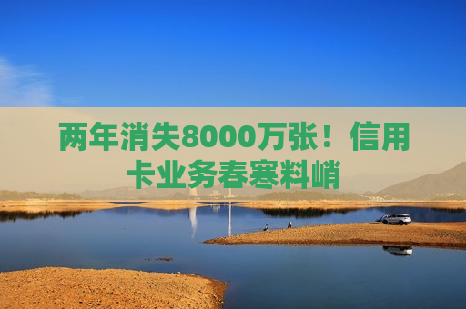 两年消失8000万张！信用卡业务春寒料峭