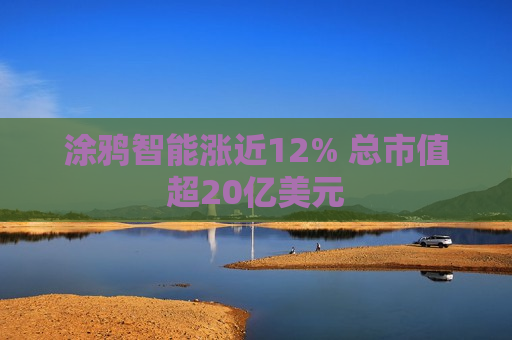 涂鸦智能涨近12% 总市值超20亿美元  第1张