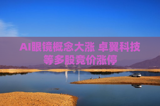 AI眼镜概念大涨 卓翼科技等多股竞价涨停
