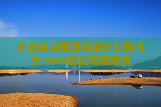 消息称美国国税局计划裁减约7000名试用期雇员