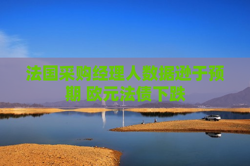 法国采购经理人数据逊于预期 欧元法债下跌