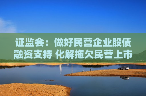  *** ：做好民营企业股债融资支持 化解拖欠民营上市公司账款问题