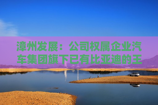 漳州发展：公司权属企业汽车集团旗下已有比亚迪的王朝系列及海洋网系列、AITO问界等新能源车品牌在漳州区域的授权