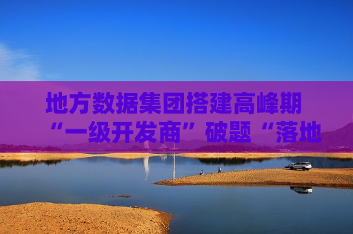 地方数据集团搭建高峰期 “一级开发商”破题“落地难”