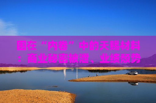 困在“内卷”中的天赐材料：商业秘密被泄、业绩颓势难改