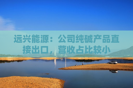 远兴能源：公司纯碱产品直接出口，营收占比较小