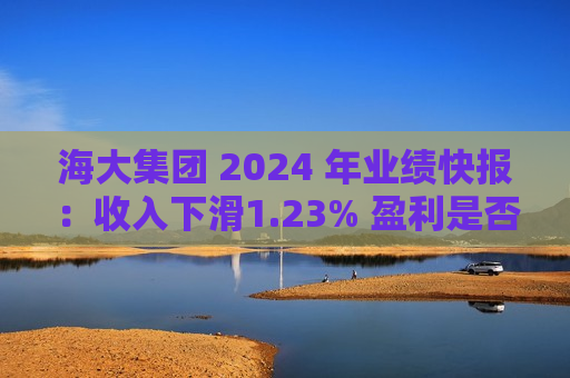 海大集团 2024 年业绩快报：收入下滑1.23% 盈利是否可持续？