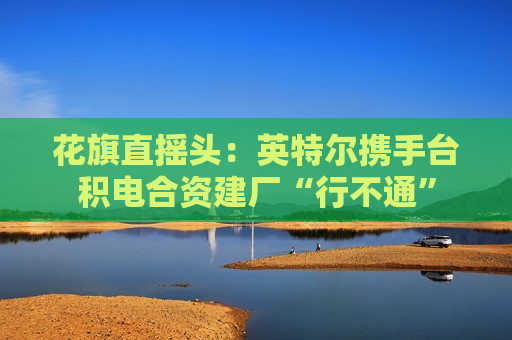花旗直摇头：英特尔携手台积电合资建厂“行不通”  第1张