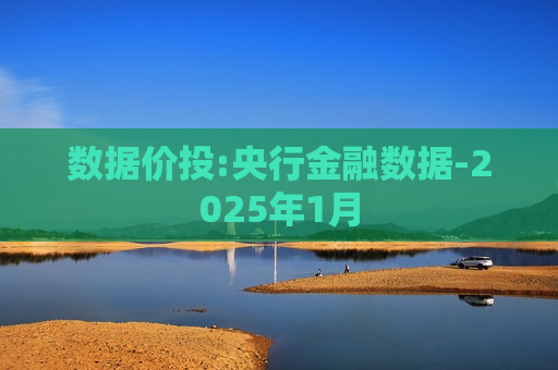 数据价投:央行金融数据-2025年1月
