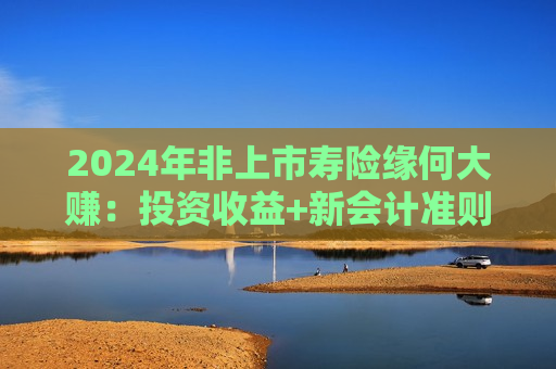 2024年非上市寿险缘何大赚：投资收益+新会计准则